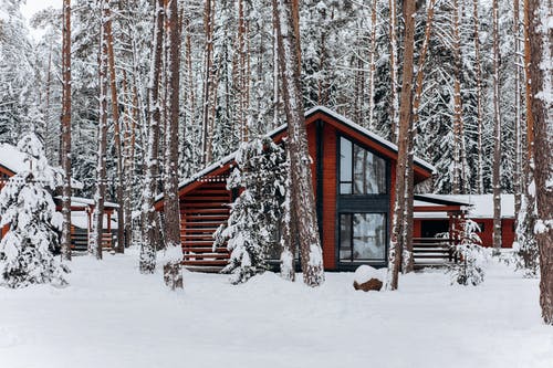 有关冷, 冷杉, 小屋的免费素材图片
