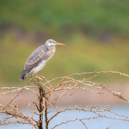有关侧面图, 垂直拍摄, 户外的免费素材图片
