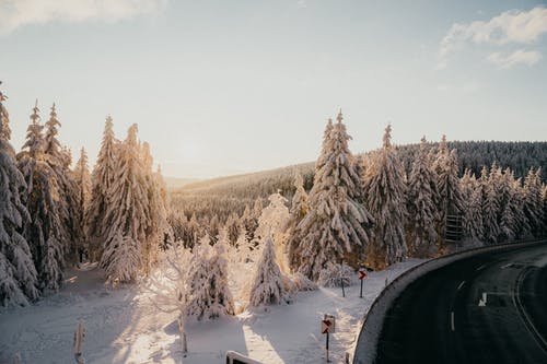 有关4k 桌面, 冬季, 大雪覆盖的免费素材图片