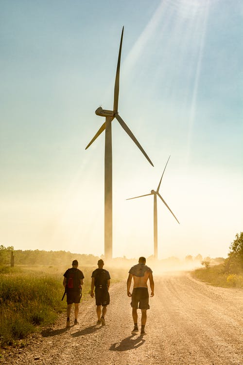 有关垂直拍摄, 户外, 晴天的免费素材图片