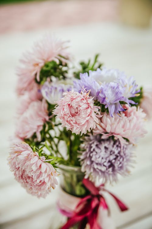 有关垂直拍摄, 植物群, 特写镜头的免费素材图片