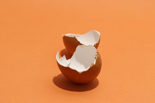 有关愚蠢的, 橙子, 破碎的免费素材图片