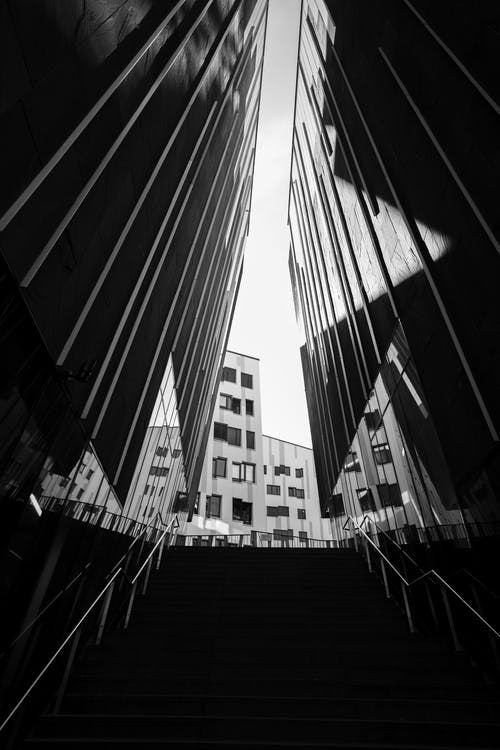 有关低角度拍摄, 反射, 单色的免费素材图片