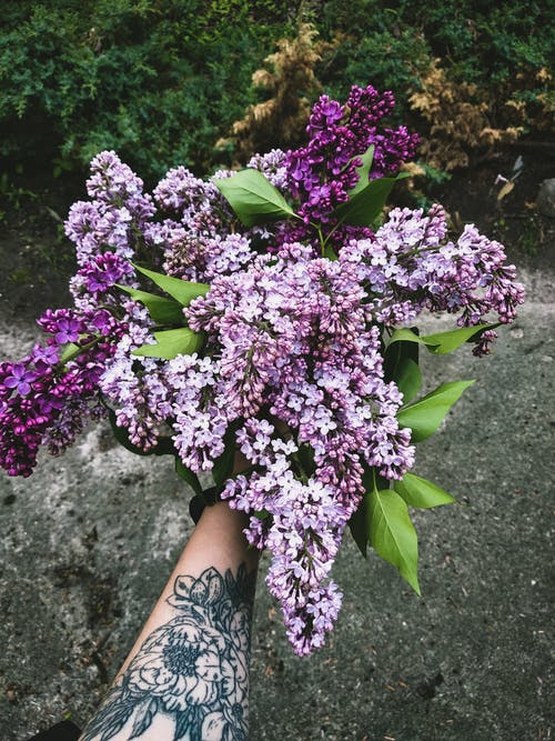 有关一束花, 垂直拍摄, 微妙的免费素材图片