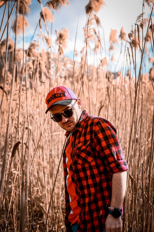 有关不情绪化, 乾的, 人的免费素材图片