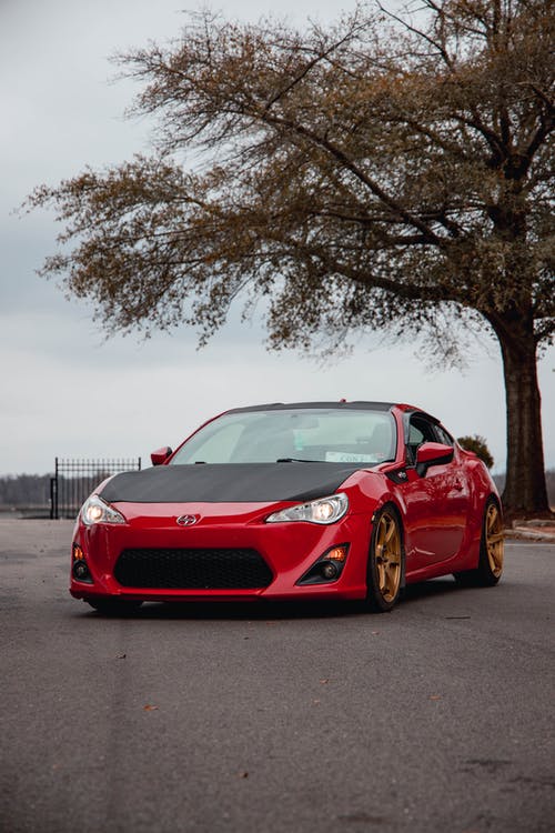 有关停, 垂直拍摄, 接穗的免费素材图片