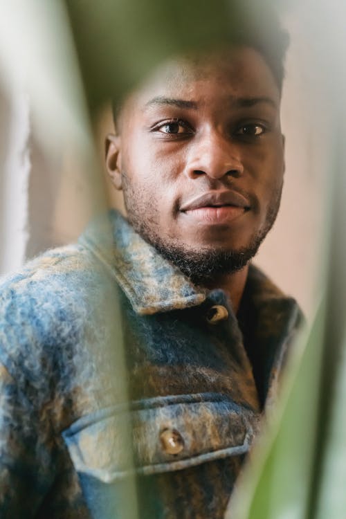 有关一瞥, 不情绪化, 个性的免费素材图片