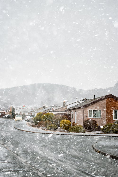 有关下雪, 冬季, 冷的免费素材图片