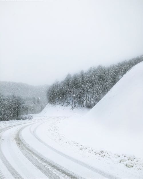 有关冬季, 冷, 冻结的的免费素材图片