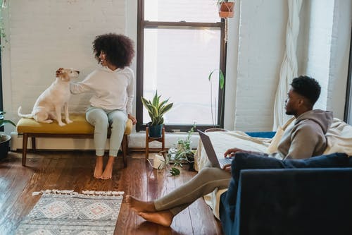 有关一对, 一起, 互联网的免费素材图片