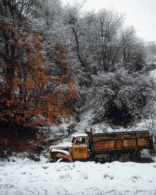 有关冬季, 卡车, 垂直拍摄的免费素材图片