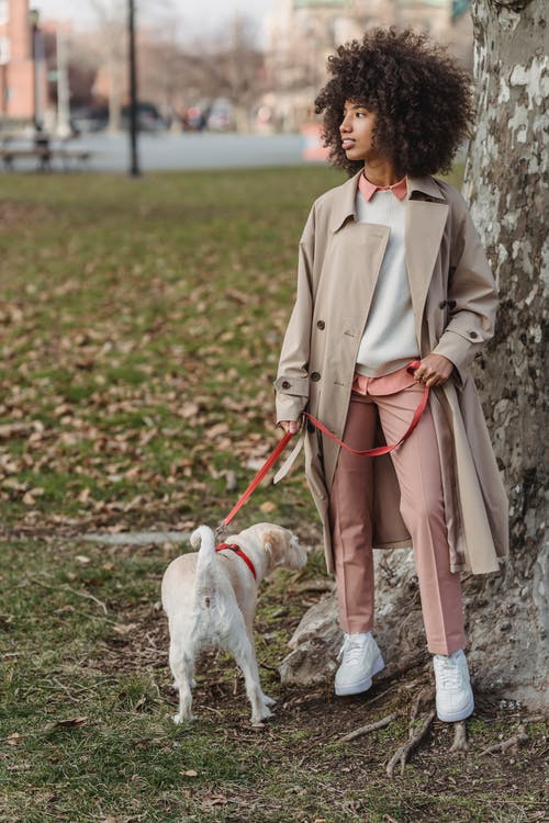 有关休闲, 全身, 公园的免费素材图片