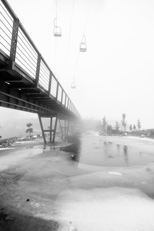 有关冬季, 冰, 冷的免费素材图片