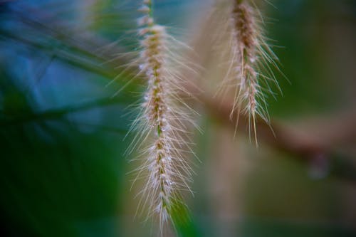 有关元素, 土地, 地平线的免费素材图片