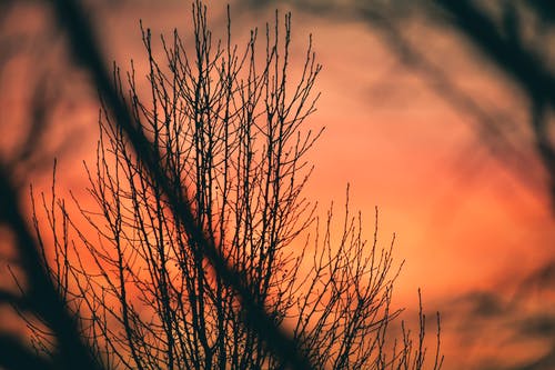 有关下落, 充满活力, 冷静的免费素材图片