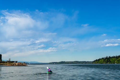 有关划桨, 後视图, 湖的免费素材图片