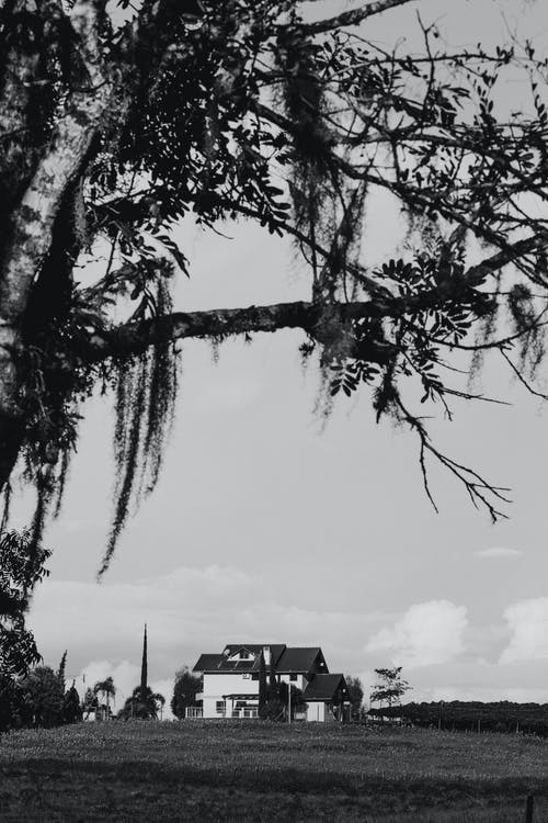 有关bw, 不动产, 住的免费素材图片