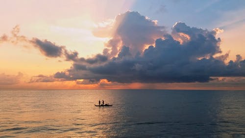 有关剪影, 地平线, 天性的免费素材图片