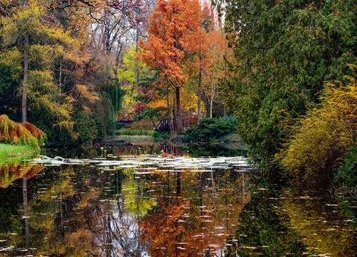 有关下落, 公园, 冷静的免费素材图片