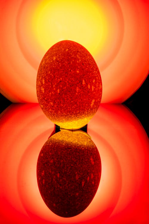 有关元素, 充满活力, 光的免费素材图片