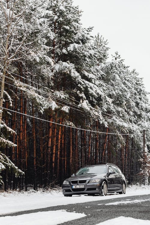 有关停, 冬季, 垂直拍摄的免费素材图片