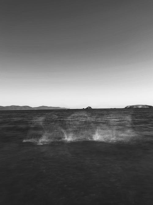 有关农业用地, 单色, 灌溉的免费素材图片