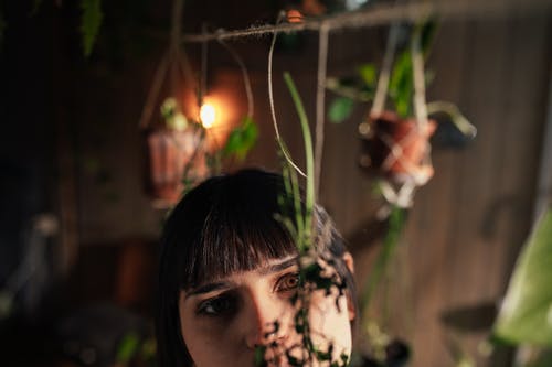 有关刘海, 棕色, 模糊的免费素材图片