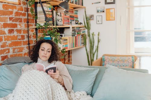 有关Throw Pillows, 圖書, 在家的免费素材图片