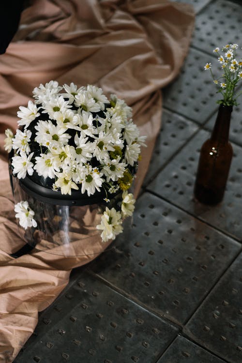 有关和平主义, 和平抗议, 室内的免费素材图片