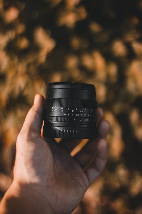 有关不露面, 人, 光圈的免费素材图片