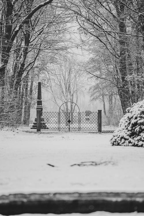 有关入口, 公園, 冬季的免费素材图片