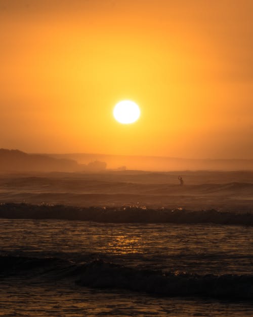 有关垂直拍摄, 天性, 戶外的免费素材图片