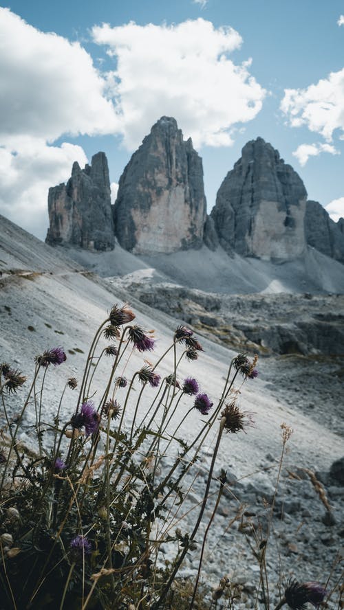有关不均匀的, 严重, 乾旱的免费素材图片