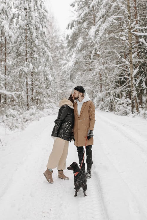 有关一對, 一起, 冬季的免费素材图片