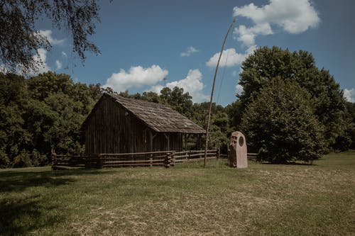 有关原本, 围栏, 天性的免费素材图片