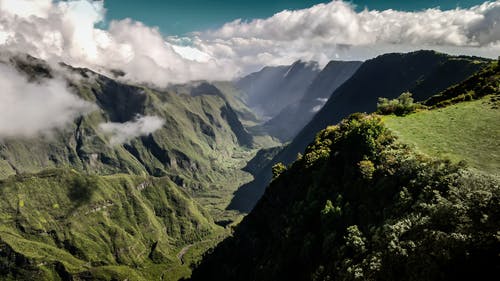 有关土地, 地平線, 增長的免费素材图片