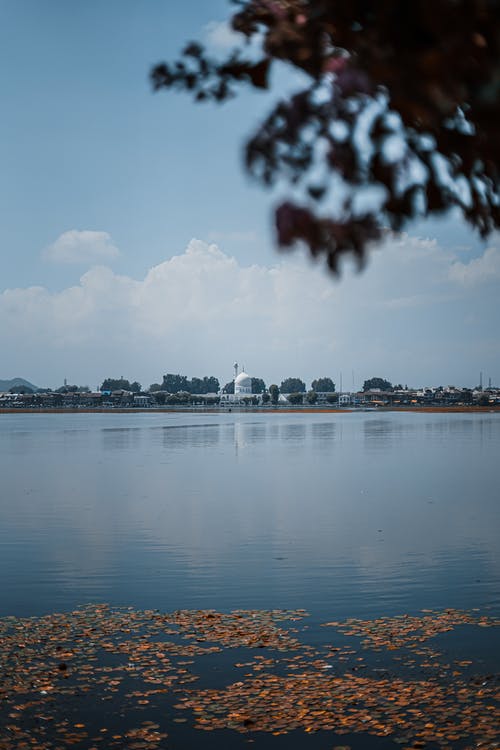 有关下落, 不動產, 住的免费素材图片