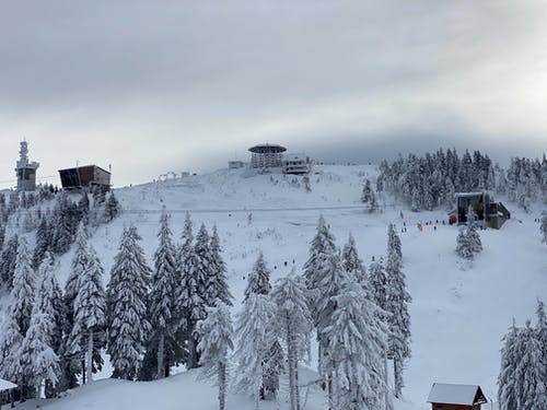 有关冬季, 冷, 冷冰的的免费素材图片