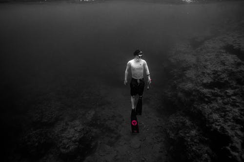 有关bw, 享受, 人的免费素材图片