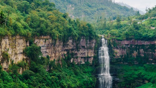 有关天性, 山林, 環境的免费素材图片