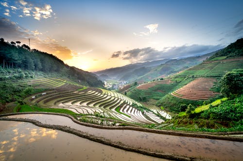 有关天性, 戶外, 水稻梯田的免费素材图片