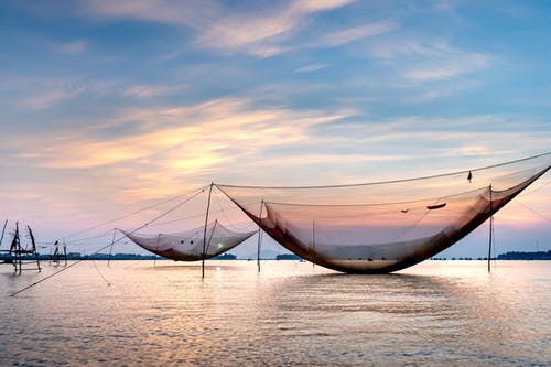 有关冷靜, 和平的, 地平線的免费素材图片