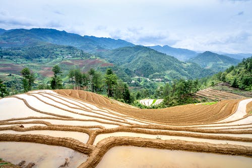 有关光, 农艺学, 和平的的免费素材图片