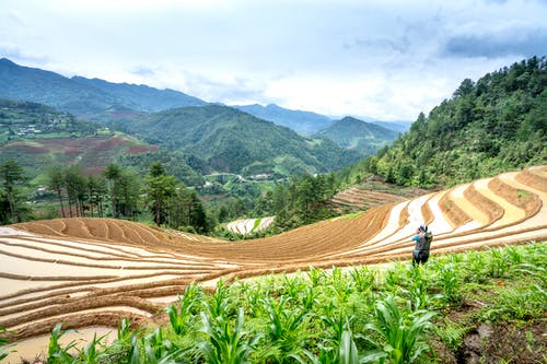 有关不露面, 享受, 人的免费素材图片
