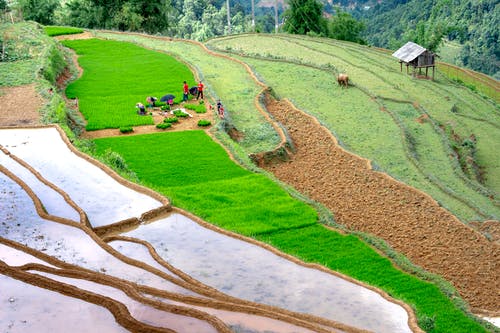 有关地平線, 地形, 增長的免费素材图片
