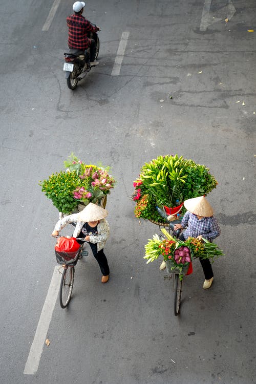 有关一束鲜花, 垂直拍摄, 戶外的免费素材图片