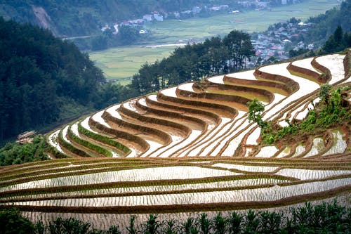 有关mu cang chai, 住, 和平的的免费素材图片