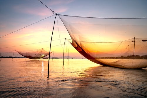 有关冷靜, 和平的, 地平線的免费素材图片