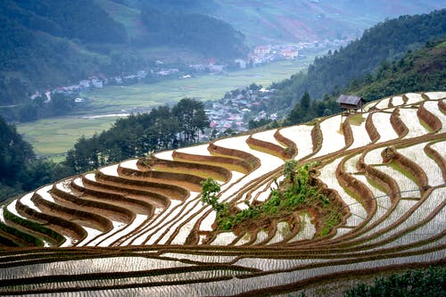 有关mu cang chai, 亞洲, 和平的的免费素材图片