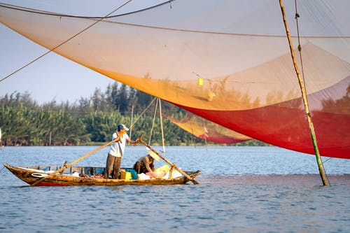 有关ộan, 傳統, 划船的免费素材图片